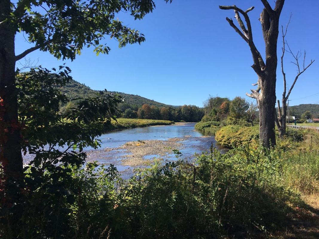 This photo is of the view of the Deerfield River as seen from the pull-off area on the south side of the Byway. The view is to the west and there are trees and vegetation in the foreground, the foothills of the Berkshire Mountains in the background, and the Deerfield River.