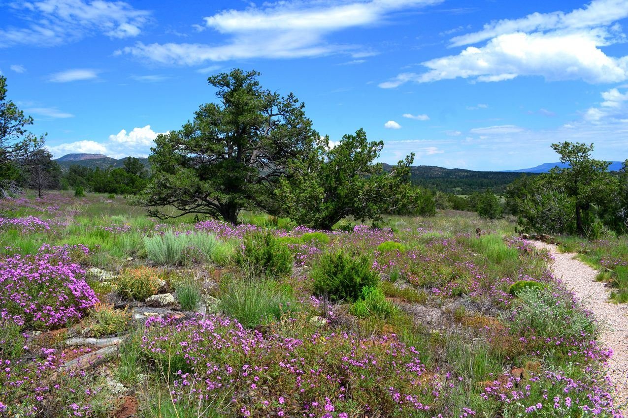 Hiking in Summer 