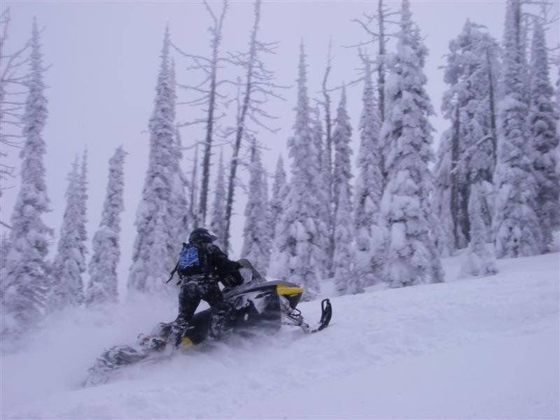 Snow covered trees provide a perfect backdrop for a snowmobiler near Trestle Creek on the Pend Oreille Scenic Byway.