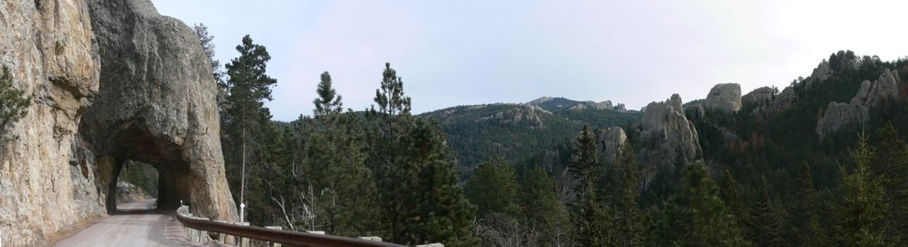 Framed by the thick evergreens of the Black Hills, Hwy. 87 follows a cliff face and even cuts through the mountain in places.