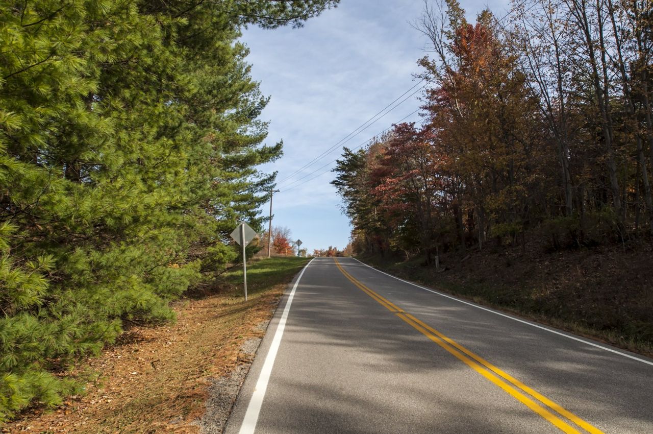 A road is shown with vividly green pines and colorful foliage of the hardwood trees while a road with shadows passes through them.
